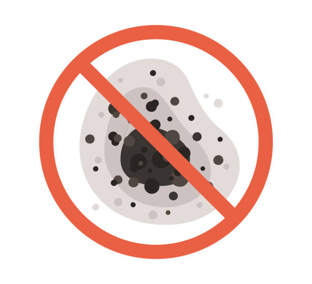 Chalfont, PA Mold Removal Pros